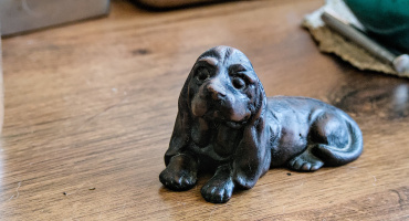 dog toy 2026.01 dt