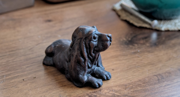 dog toy 2026.02 dt