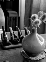 pipes 2026.01 dt bw