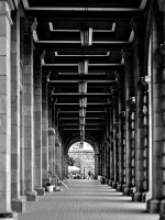 colonnade 2026.01 dt bw