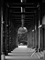colonnade 2026.03 dt bw