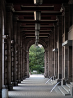 colonnade 2026.03 dt