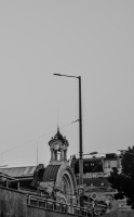 maria-luisa 2026.02 dt bw