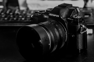 olympus omd e-m10 2026.11 dt bw