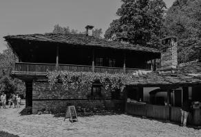 etara 2026.03 dt bw