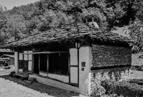etara 2026.05 dt bw