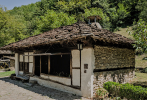 etara 2026.05 dt
