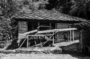 etara 2026.06 dt bw