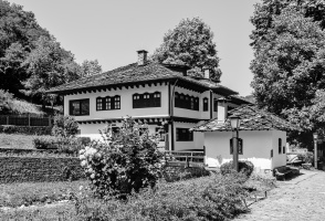 etara 2026.10 dt bw