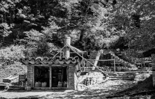 etara 2026.12 dt bw